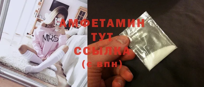 купить наркотики цена  Елизово  Amphetamine 97% 